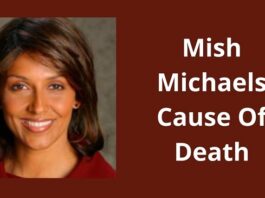 What Did Mish Michaels Die of