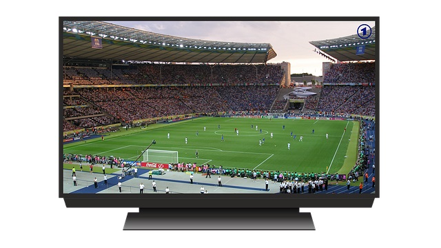 Streaming Services for Canadian Sports Fans outside Canada